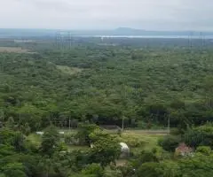 Terrenos a 33 km de Asunción (9,5 km del lago Ypacaraí) - 6