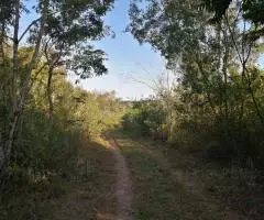 Terreno de 25 hectáreas en Trinidad (Itapúa)