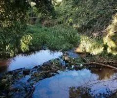 Terreno de 25 hectáreas en Trinidad (Itapúa)