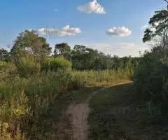 Terreno de 25 hectáreas en Trinidad (Itapúa)