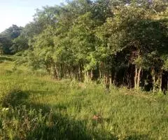 Terreno 2 Ha en Trinidad (Itapúa)