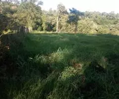 Terreno 2 Ha en Trinidad (Itapúa)