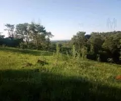Terreno 2 Ha en Trinidad (Itapúa)