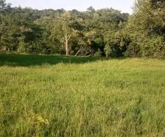 Terreno 2 Ha en Trinidad (Itapúa)
