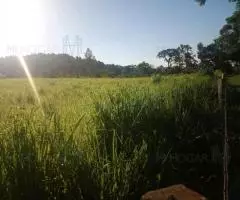 Terreno 2 Ha en Trinidad (Itapúa) - 6