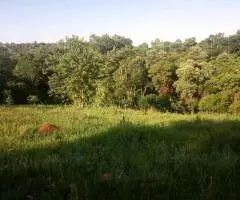 Terreno 2 Ha en Trinidad (Itapúa) - 7