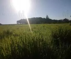 Terreno 2 Ha en Trinidad (Itapúa) - 8