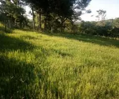 Terreno 2 Ha en Trinidad (Itapúa) - 9