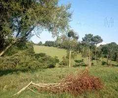 Terreno 2 Ha en Trinidad (Itapúa) - 10