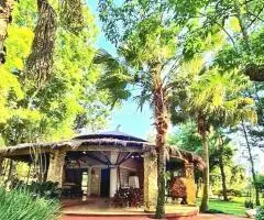 Rancho de 22 hectáreas en Los Cedrales (Alto Paraná) - 6