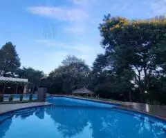 Rancho de 22 hectáreas en Los Cedrales (Alto Paraná) - 10
