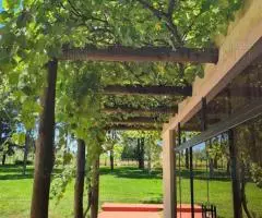 Rancho de 22 hectáreas en Los Cedrales (Alto Paraná) - 12