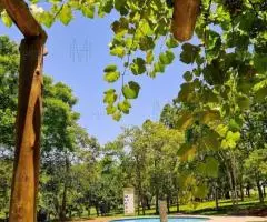 Rancho de 22 hectáreas en Los Cedrales (Alto Paraná) - 13