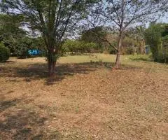 Terrenos a 97 km de Asunción - San José de los Arroyos - 8