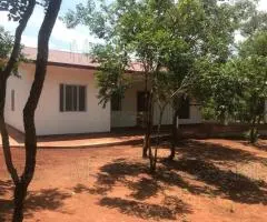 Casa 200 m2 en Trinidad (Itapúa) terreno 0,8 ha