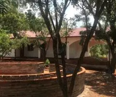 Casa 200 m2 en Trinidad (Itapúa) terreno 0,8 ha - 6