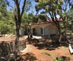 Casa 200 m2 en Trinidad (Itapúa) terreno 0,8 ha - 12