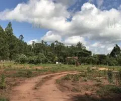 Casa 200 m2 en Trinidad (Itapúa) terreno 0,8 ha - 13