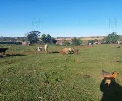 Terreno 5 Ga Hohenau-4 (Itapua)