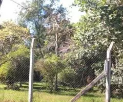 Terreno de 975 m2 en Ypacaraí (Central)