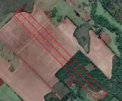 Parcelas de 14,3 y 28,6 hectáreas en Hohenau (Itapúa)