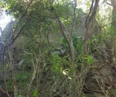 Terreno de 17 hectáreas en la zona de Cabañas Kue (Cordillera)