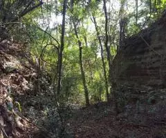 Terreno de 17 hectáreas en la zona de Cabañas Kue (Cordillera)
