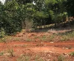 Terreno de 1 Ha en Bella Vista (Itapuá)