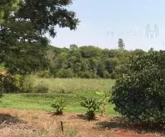Terreno de 1 Ha en Bella Vista (Itapuá)