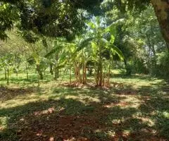 Casa + Salón para 200 personas en un terreno de 0,93 Ha en Luque (Central)
