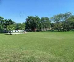 Casa + Salón para 200 personas en un terreno de 0,93 Ha en Luque (Central) - 7