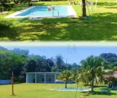 Casa + Salón para 200 personas en un terreno de 0,93 Ha en Luque (Central) - 13