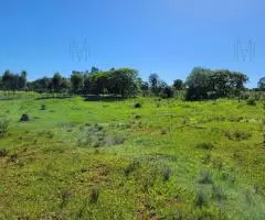 Terreno de 1,4 hectáreas en Trinidad (Itapúa)
