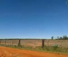 Terreno de 50 hectáreas con casa, lago y establo en Alto Verá (Itapuá) - 6