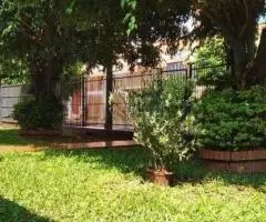 Casa de 266 m2 en un terreno de 815 m2 en Hohenau (Itapúa)