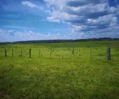 Terreno de 680 hectáreas en San Pedro del Paraná (Itapúa) - 6