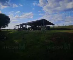 Terreno de 680 hectáreas en San Pedro del Paraná (Itapúa) - 7