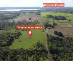 Campo de 4has en San Juan
