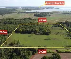 Campo de 4has en San Juan