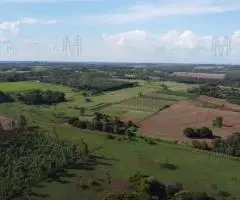 Campo de 4has en San Juan