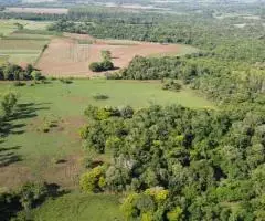 Campo de 4has en San Juan