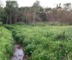 Terreno de 1,5 hectáreas en Bella Vista (Itapúa)