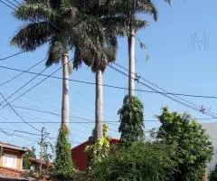 En venta hermosa casa de 5 dormitorios / Garage para 2 vehículos