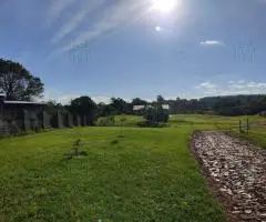Vendo residencia con 5 hectareas de campo Hohenau