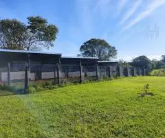 Vendo residencia con 5 hectareas de campo Hohenau