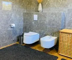 Vendo residencia con 5 hectareas de campo Hohenau