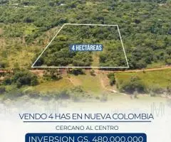 Se vende un terreno de 4 hectáreas en Nueva Colombia (Cordillera)