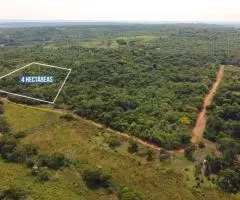 Se vende un terreno de 4 hectáreas en Nueva Colombia (Cordillera)