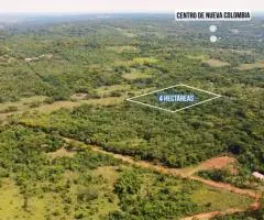 Se vende un terreno de 4 hectáreas en Nueva Colombia (Cordillera)