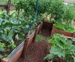 Casa de 100 m2 en un terreno de 10,5 hectáreas a 8 km de Cambyretá (Itapúa)